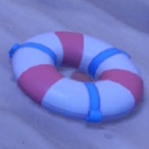 Swim ring in pokopia