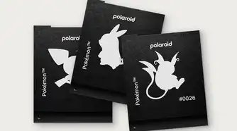 Polaroid Pokemon Comms 1x1 Darkslides Pikachu B0d862