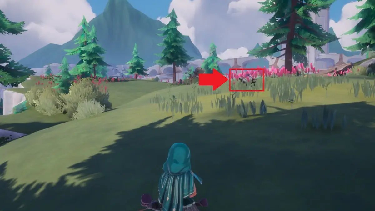 Muujimothy marked in grass in Palia