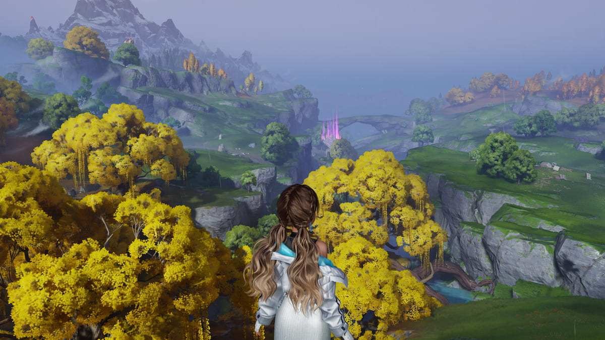 Player looking out at landscape on rainy day in aniimo