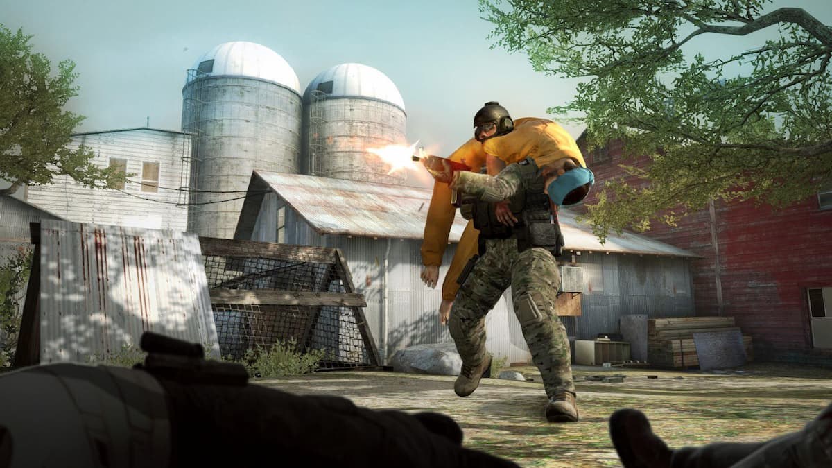 How to raise a chicken in CS2