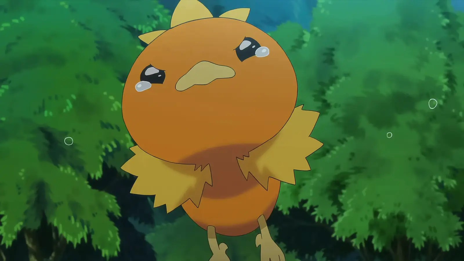 Torchic, a starter Pokemon, can be seen tearing up as it jumps up.