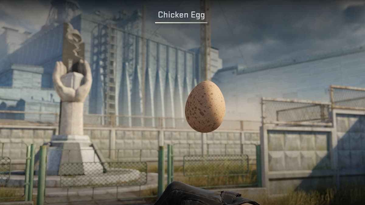 A Chicken egg in CS2