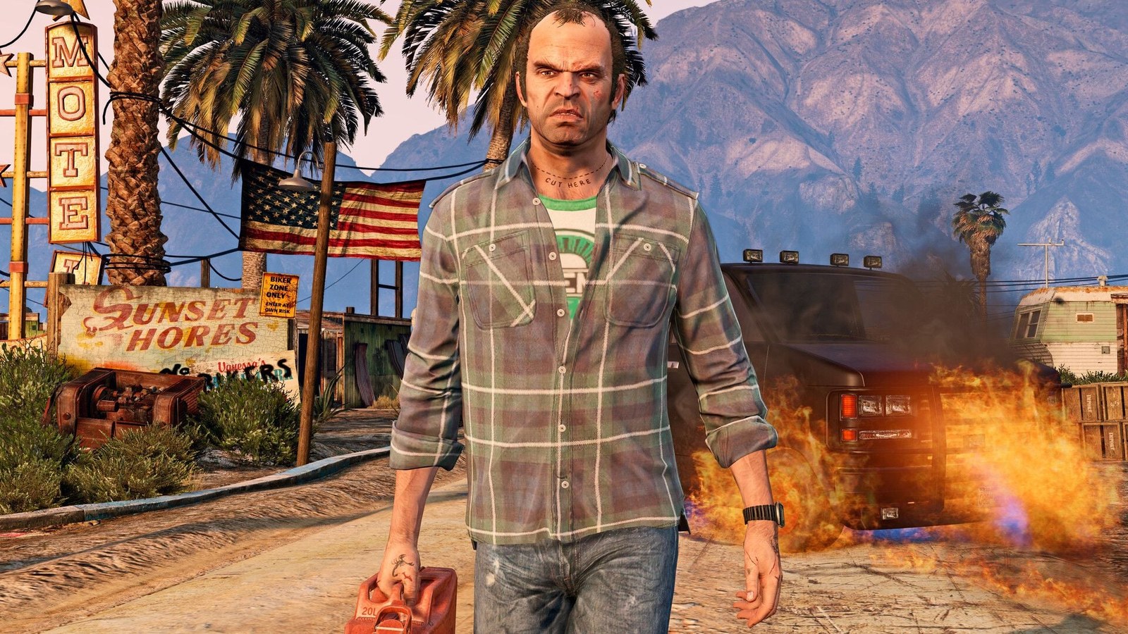 Hero GTA V Modder Adds 235 Flock Cameras Specifically For Players To Destroy