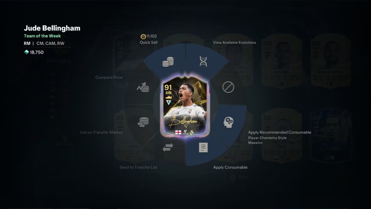 Holographic item in FC 27