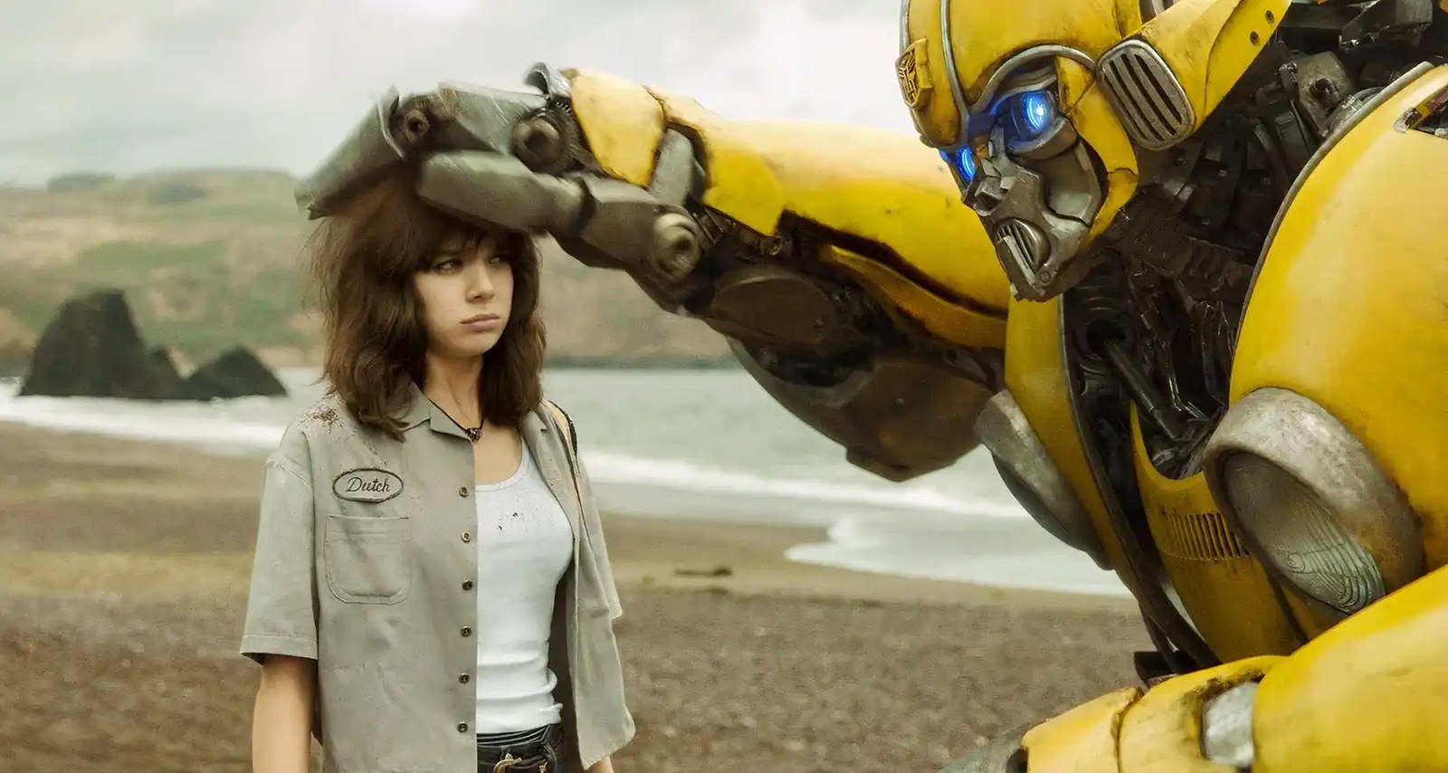 bumblebee patting