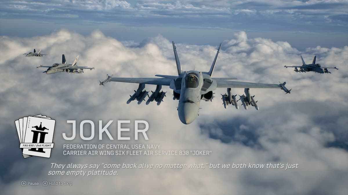 Joker Flight crew in Ace Combat 8. 