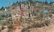 Graveyard of martyred Muj. - Askeri Tarih & Harp Koleksiyonu