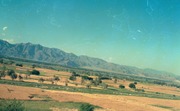 A scene of green farms. - Askeri Tarih & Harp Koleksiyonu