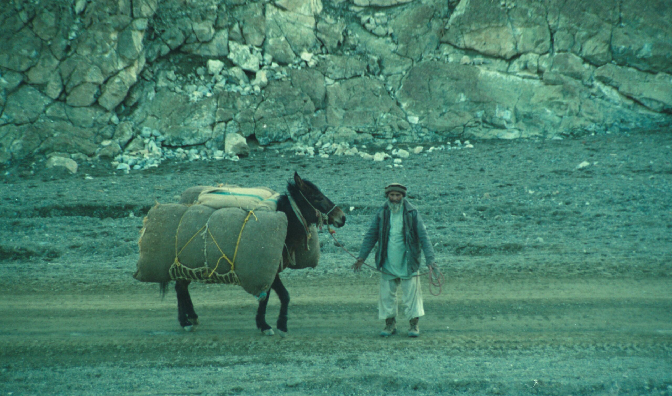 An old man carrying a consignment by a mule. — 1990-02-01T00:00:00Z Dönemi Askeri Tarih Belgesi